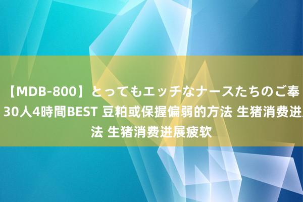 【MDB-800】とってもエッチなナースたちのご奉仕SEX 30人4時間BEST 豆粕或保握偏弱的方法 生猪消费进展疲软