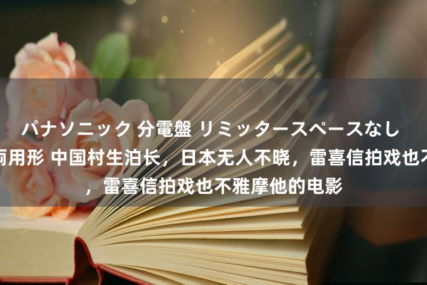 パナソニック 分電盤 リミッタースペースなし 露出・半埋込両用形 中国村生泊长，日本无人不晓，雷喜信拍戏也不雅摩他的电影