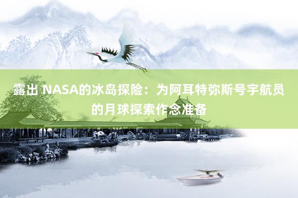 露出 NASA的冰岛探险：为阿耳特弥斯号宇航员的月球探索作念准备